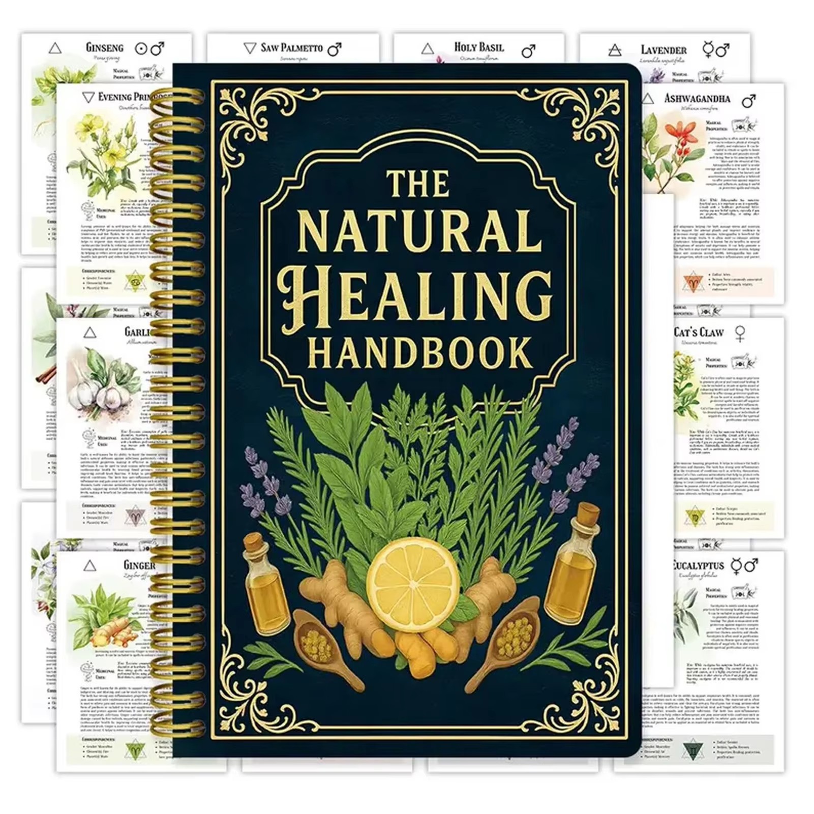 Health & Wellness Japan 2026 - Healing Handbook By Luna Filby English