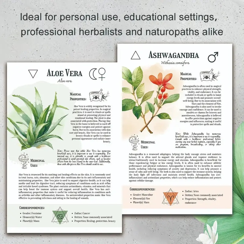 Natural Remedies Handbook with - Health & Wellness Japan 2026 review and price