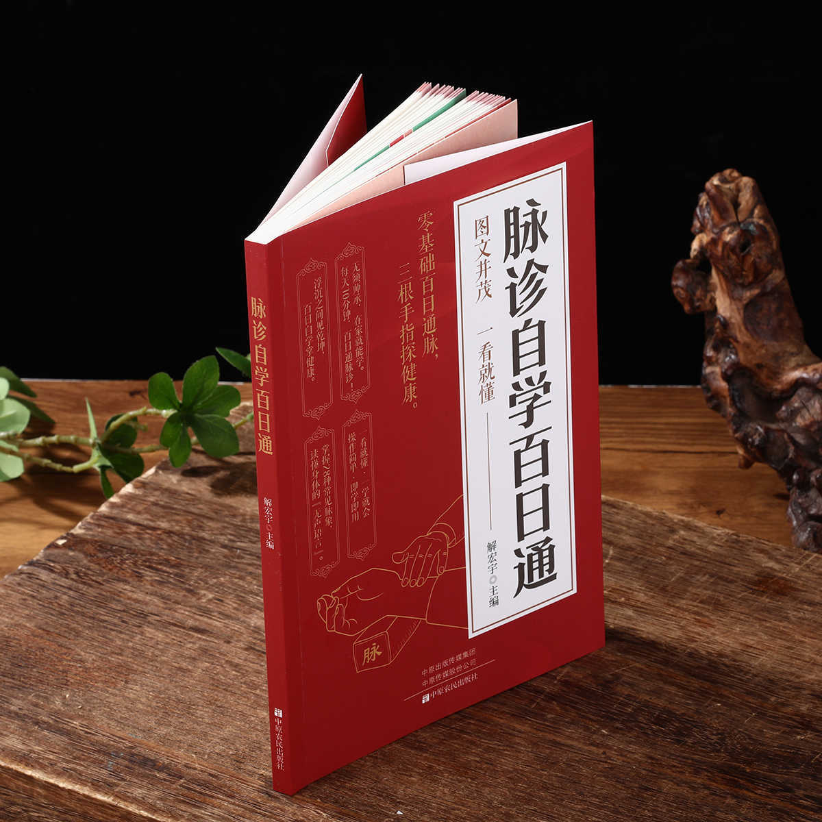 Pulse Diagnosis Self Study Hun - Health & Wellness Japan 2026 review and price